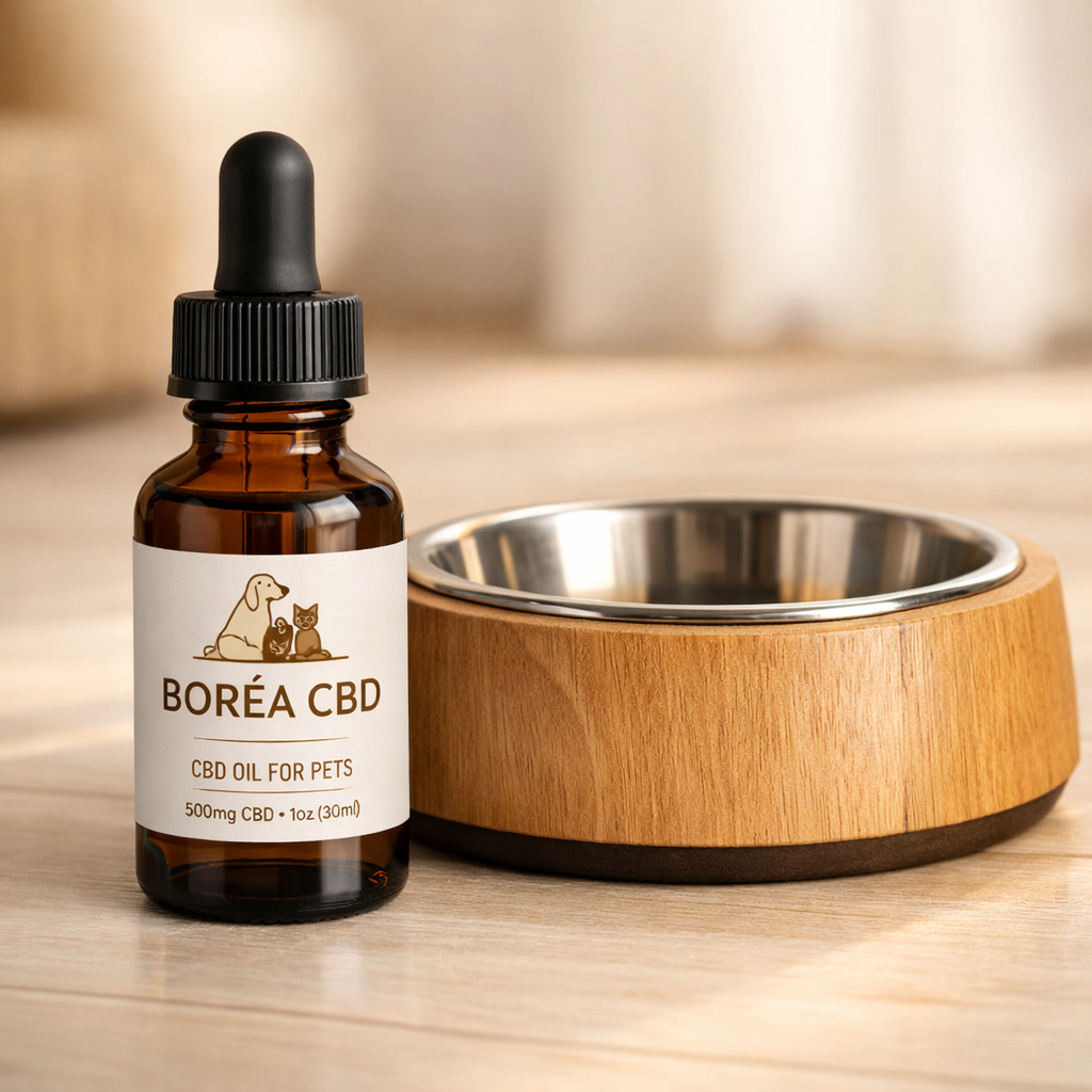 Huile CBD Chat Senior — 150mg/5ml